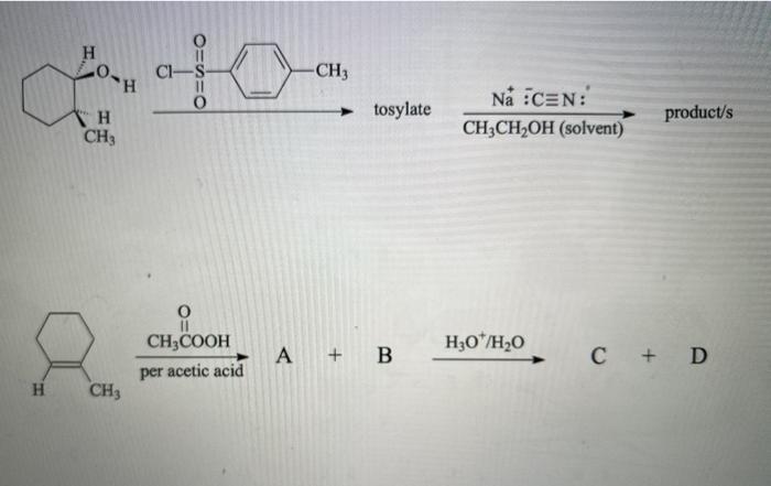 Solved H CI-S -СН3 H O tosylate Na :CEN: CH3CH2OH (solvent) | Chegg.com