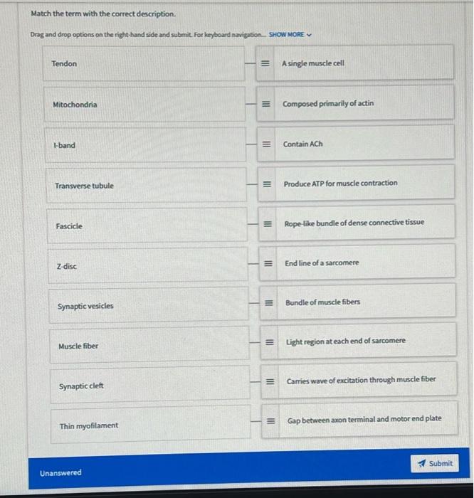 Solved Match the term with the correct description. Drag and | Chegg.com