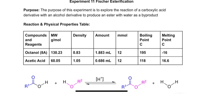 Solved Experiment 11 Fischer Esterification Purpose: The | Chegg.com