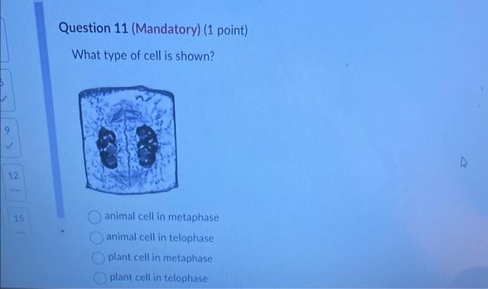 Solved What type of cell is shown? animal cell in metaphase | Chegg.com