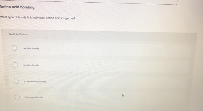 Solved Amino acid bonding What type of bonds link individual 
