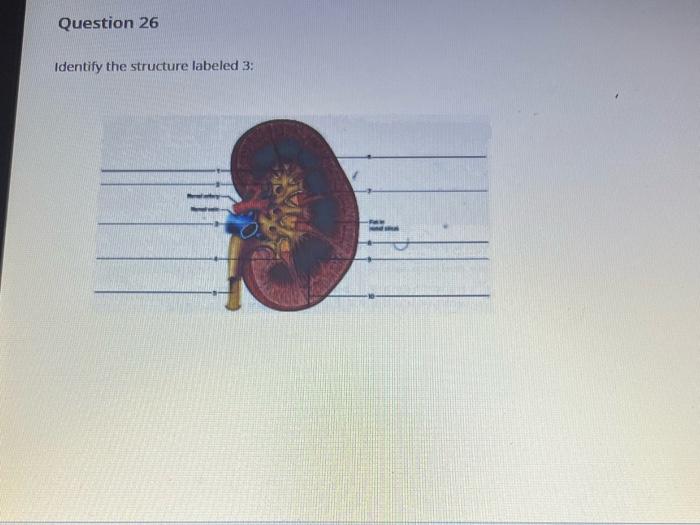 Solved Identify the structure labeled 6 : What structure is | Chegg.com