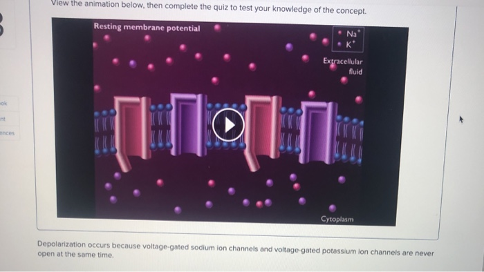 voltage gated ion channels animation