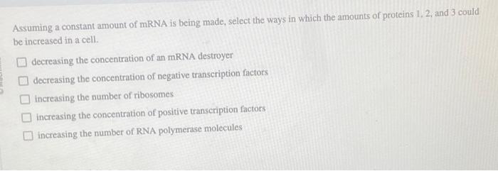 Solved Assuming a constant amount of mRNA is being made, | Chegg.com