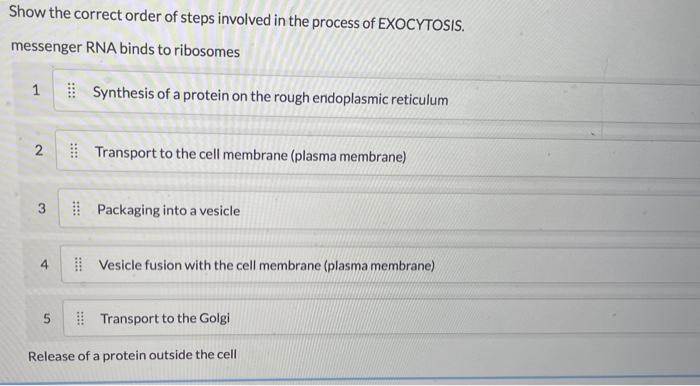 Solved Show The Correct Order Of Steps Involved In The Chegg Com
