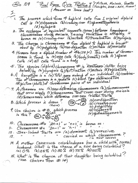 Solved questions 1-25 thr process which forms 4 haploid | Chegg.com