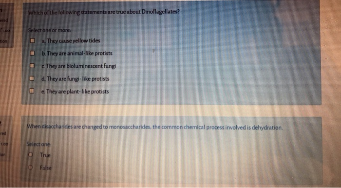 Solved Which Of The Following Statements Are True About Chegg Com Solved Which Of The Following Statements Are True About Chegg Com