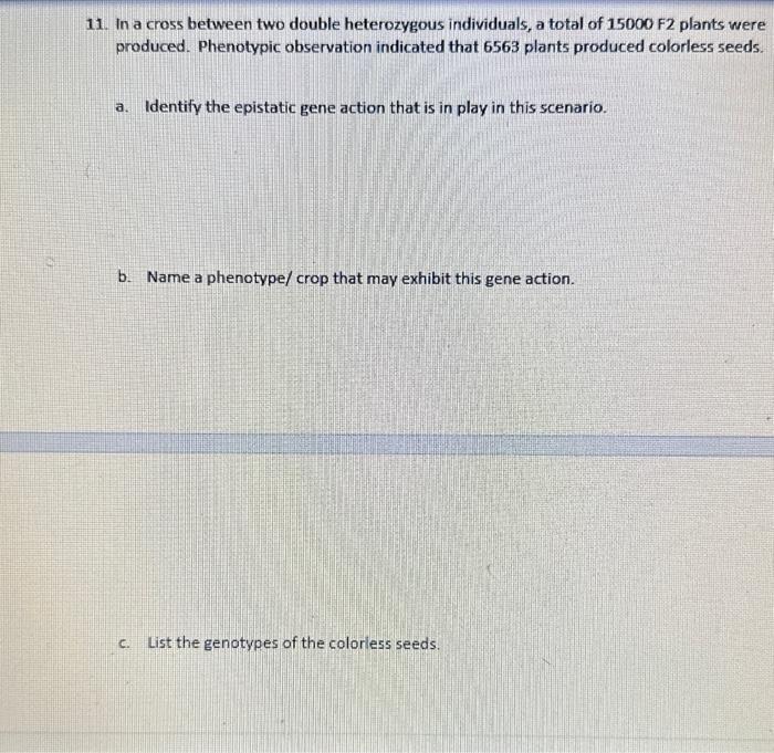 Solved 11. In A Cross Between Two Double Heterozygous | Chegg.com
