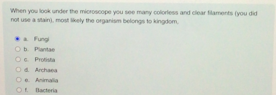 Solved When you look under the microscope you see many | Chegg.com