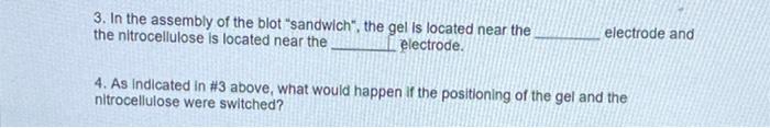 Solved 3. In The Assembly Of The Blot Sandwich