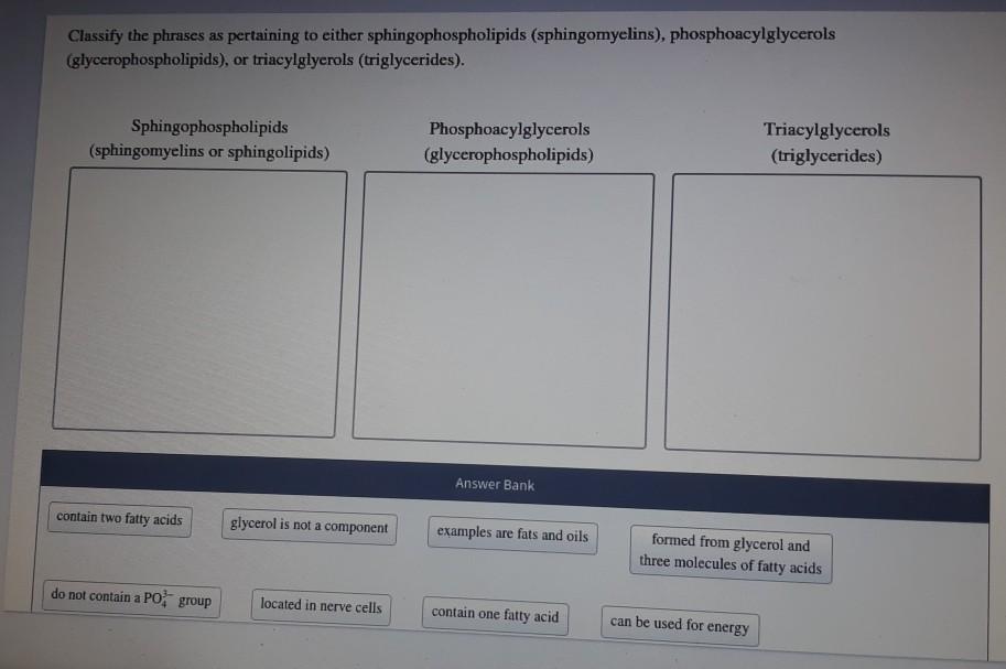 Solved Classify The Phrases As Pertaining To Either Chegg