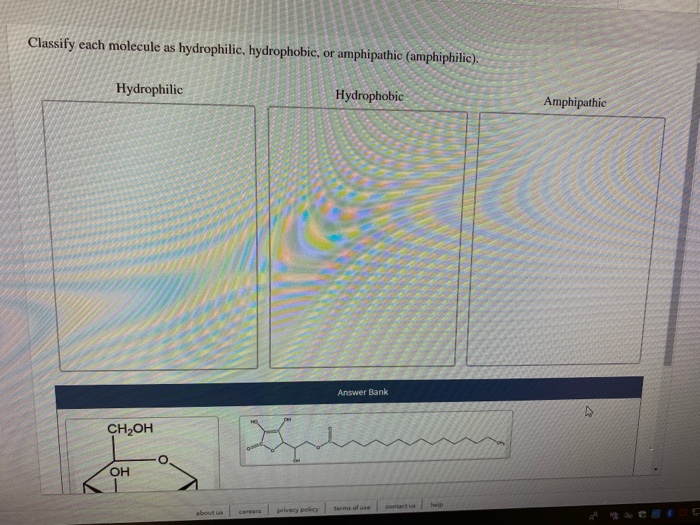 Solved Classify each molecule as hydrophilic, hydrophobic,