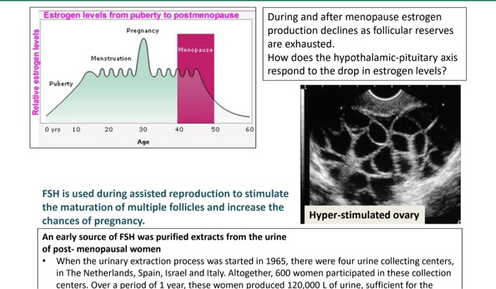 Pregnancy and Postmenopause