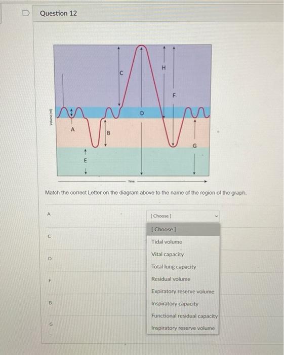 Solved match the correct letter on the diagram above to the | Chegg.com