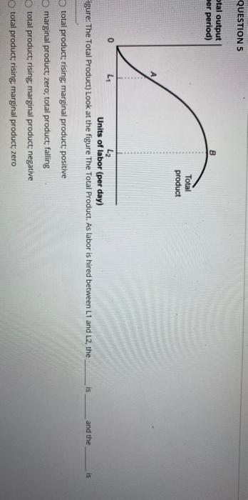 Solved QUESTION 5 otal output per period) B Total product 0 | Chegg.com