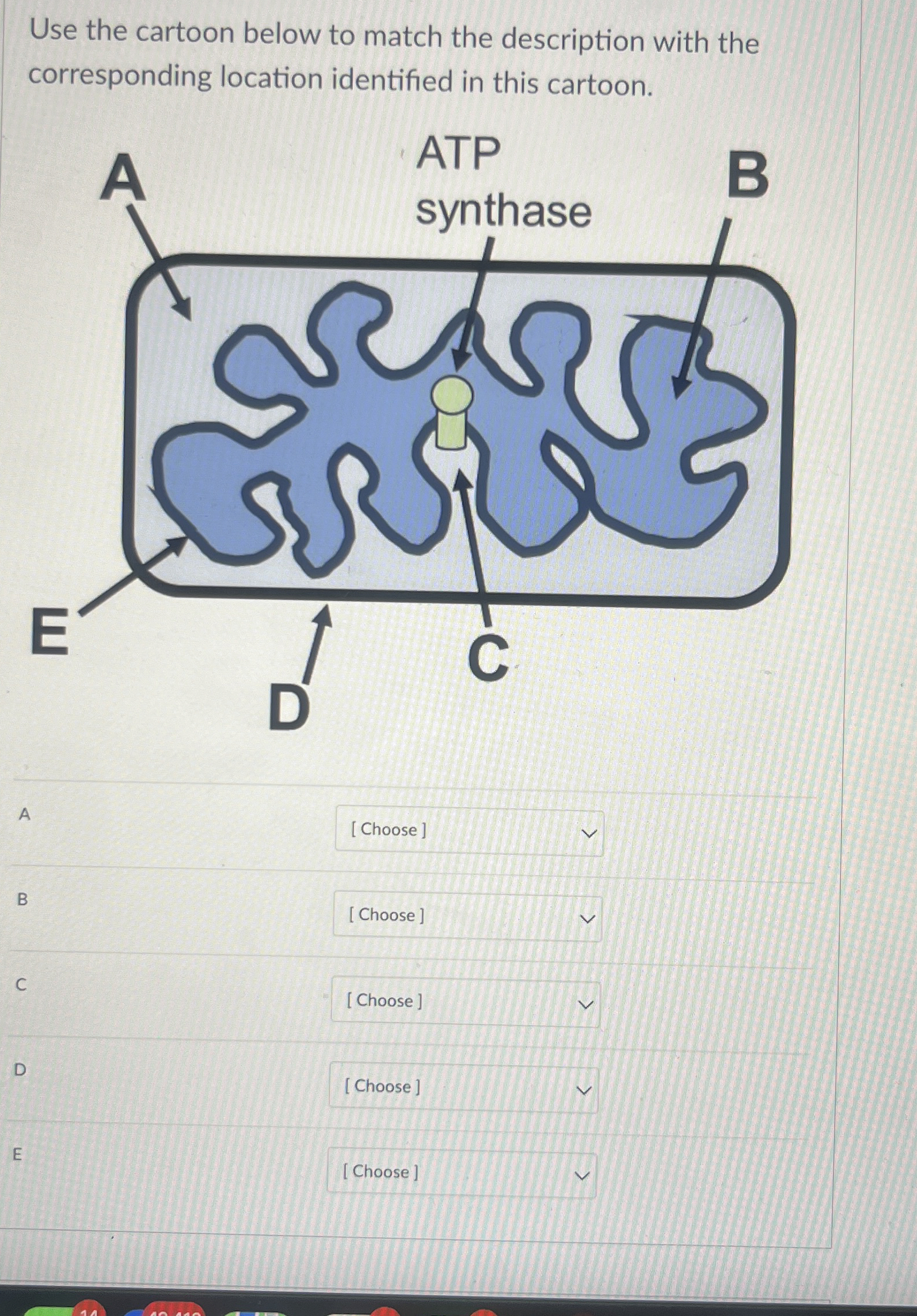 Solved Use the cartoon below to match the description with | Chegg.com