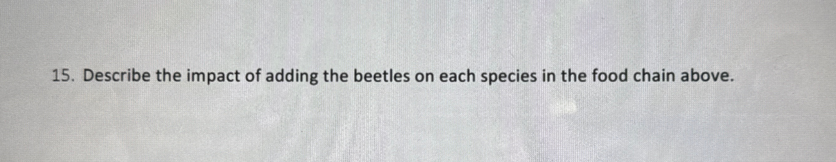 Solved Describe the impact of adding the beetles on each Biology Diagrams