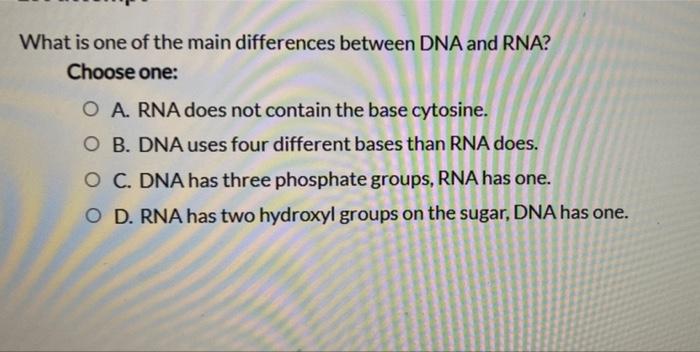 Solved What is one of the main differences between DNA and | Chegg.com