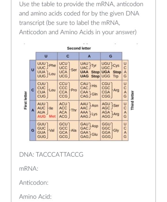 Solved Use the table to provide the mRNA, anticodon and | Chegg.com