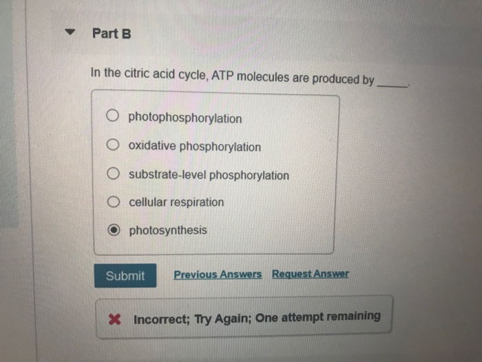 Solved Part A Celular Respiration What Process Occurs In