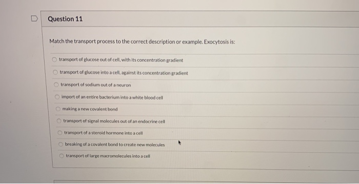 Solved Question 11 Match The Transport Process To The Chegg Com