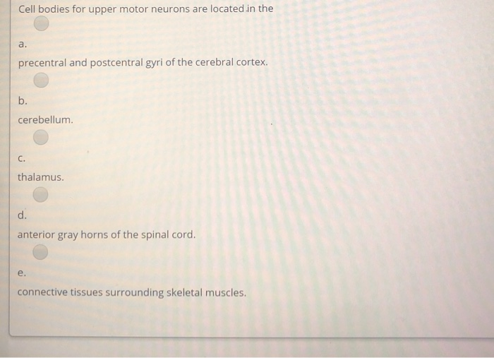Solved Cell bodies for upper motor neurons are located in | Chegg.com