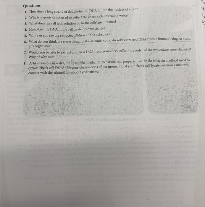 Solved Questions 1. How does a long strand of doublehelical