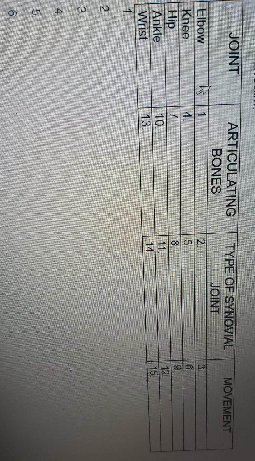 Solved JOINT ARTICULATING BONES MOVEMENT hi Elbow Knee Hip