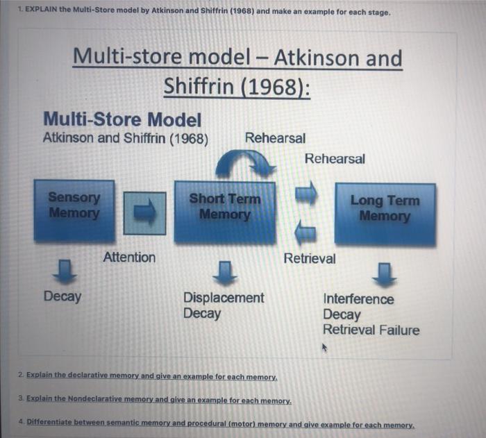 Solved 1. EXPLAIN the Multi Store model by Atkinson and Chegg