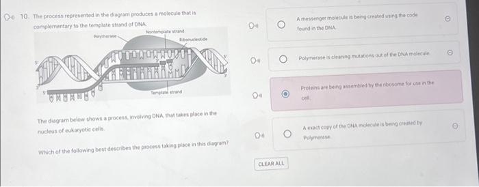 Solved 10. The process represented in the diagram produces a | Chegg.com