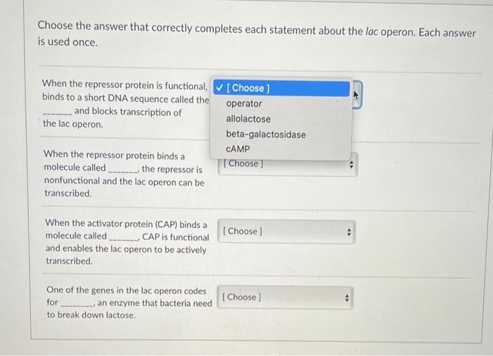 Solved Choose the type of RNA that correctly completes each
