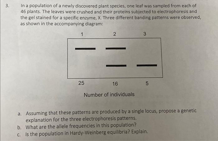 Solved . 3. In a population of a newly discovered plant | Chegg.com