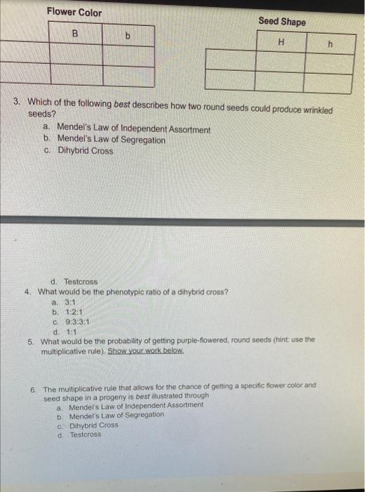 Solved BIO 340 Recitation 2 Mendelian Genetics Short Answer | Chegg.com