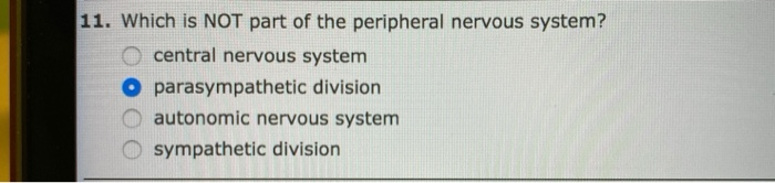 Solved 11. Which is NOT part of the peripheral nervous | Chegg.com