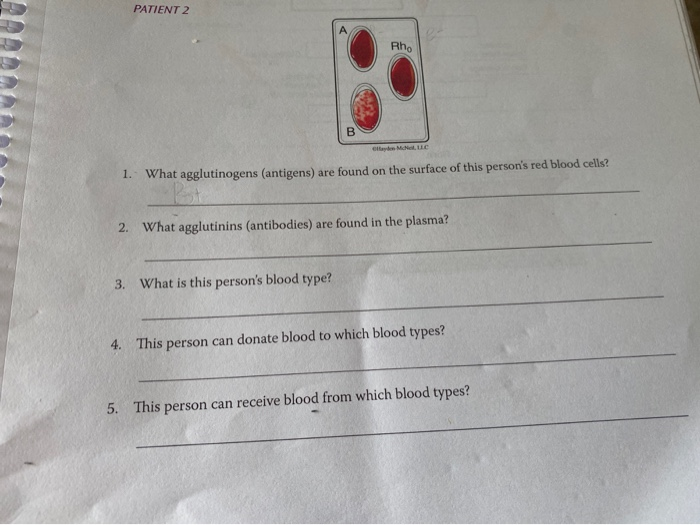 Solved PATIENT 2 Rh B В MLC 1. What agglutinogens (antigens)