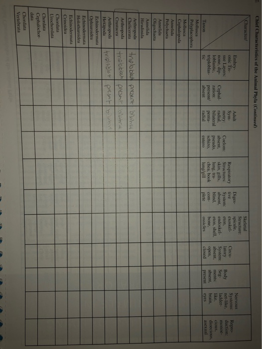 solved-chief-characteristics-of-the-animal-phyla-continued-chegg