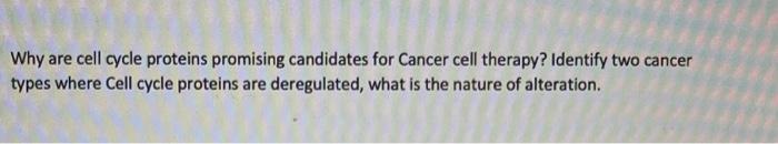 Solved Why are cell cycle proteins promising candidates for Biology Diagrams