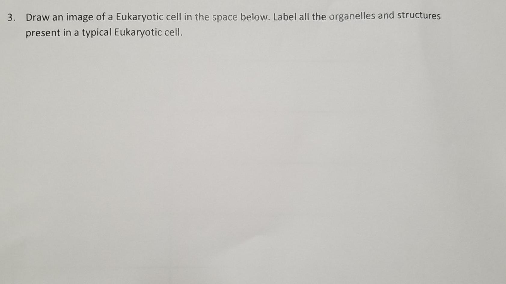 Solved 3. Draw an image of a Eukaryotic cell in the space | Chegg.com