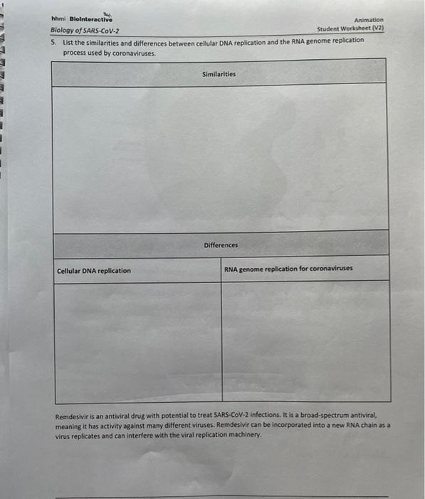 Dna rna and replication worksheet answers