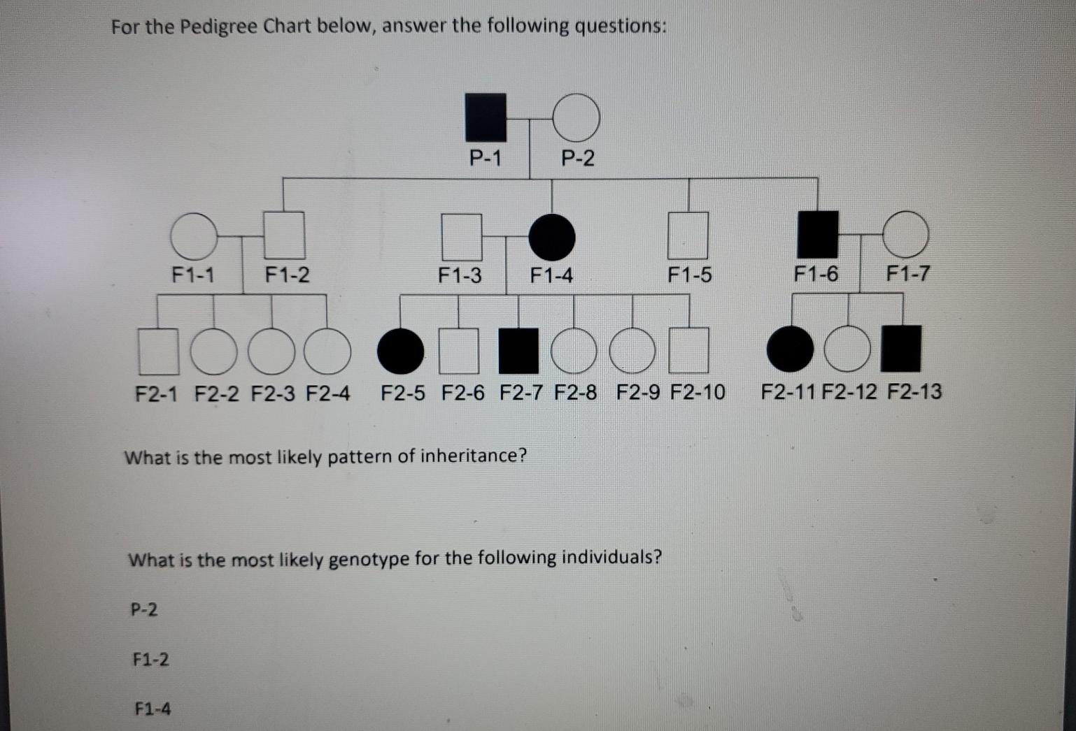 Solved For the Pedigree Chart below, answer the following | Chegg.com