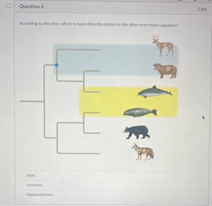 Solved According to this tree, which is most distantly | Chegg.com