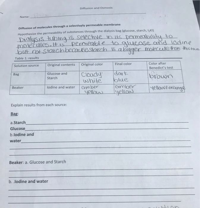 Solved Diffusion and Osmosis Name: Diffusion of molecules | Chegg.com