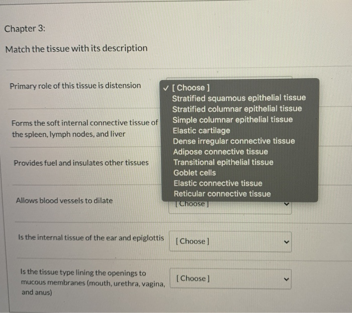 Solved Chapter 3: Match the tissue with its description | Chegg.com