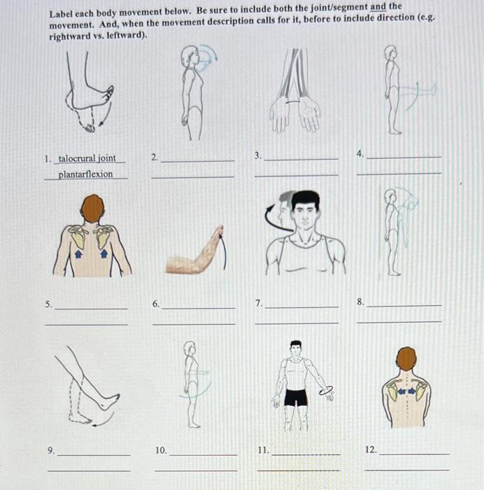 Solved Label each body movement below. Be sure to include | Chegg.com