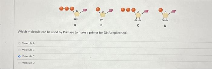 Solved Molecule A Molecule B Which Molecule Can Be Used By | Chegg.com