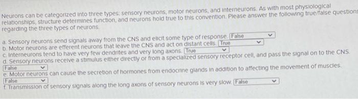 Solved Neurons Can Be Categorized Into Three Types Sensory | Chegg.com