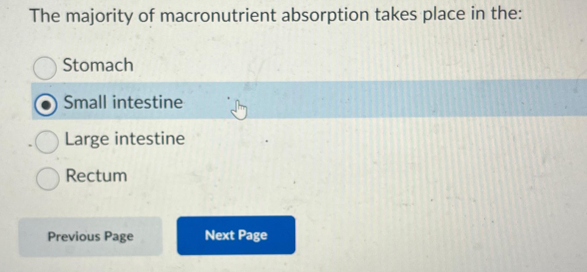 Solved The majority of macronutrient absorption takes place