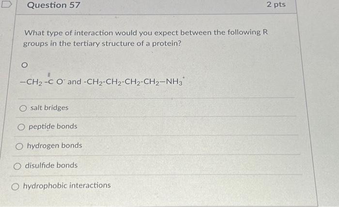 Solved What type of interaction would you expect between the | Chegg.com