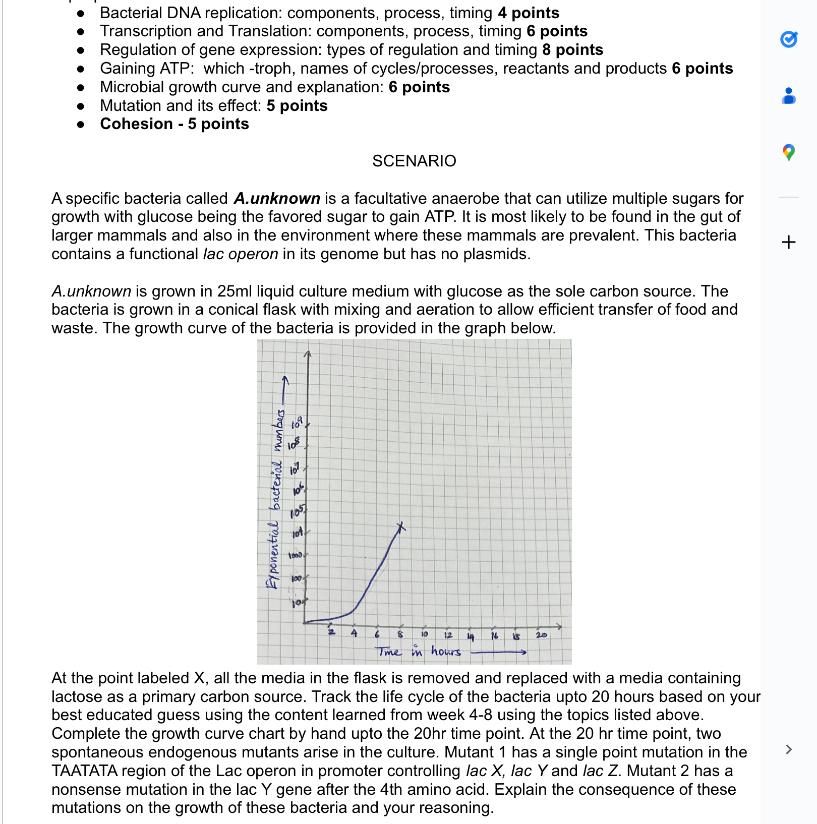 Solved Bacterial DNA replication: components, process, | Chegg.com