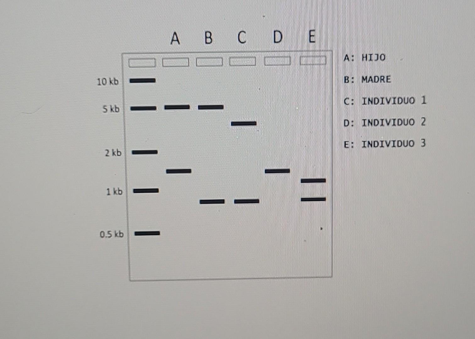 El siguiente diagrama representa una prueba de | Chegg.com